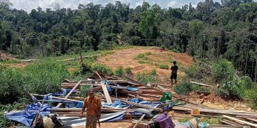 Hak Pembebasan Pemilik Lahan yang Kena Kawasan Tambang Batu Bara di Sambakungan Terkatung Katung, Sudah Surati Pimpinan PT. Berau Coal Minta Penyelesaian.