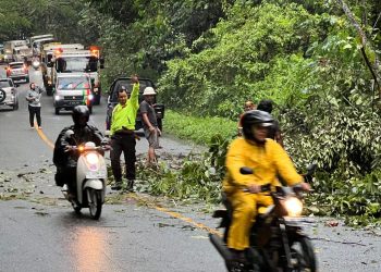 Personel Polsek Loa Janan Evakuasi Pohon Tumbang di Desa Batuah