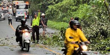 Personel Polsek Loa Janan Evakuasi Pohon Tumbang di Desa Batuah