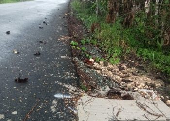 Menghabiskan Anggaran dengan Nilai Rp. 17.980.000.000,00 dari APBD Kabupaten, Proyek Rekontruksi Jalan, Diduga Tidak Sesuai RAB, Pengecoran Bahu Penahan Jalan Diduga Tidak  Dilanjutkan