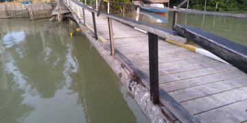 Miris, Jembatan Darurat Teluk Sumbang Terancam Ambruk, Desak Bupati Serius Lakukan Perbaikan Permanen, Sebelum Ada yang Jatuh Korban