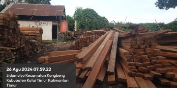 Diduga Puluhan Kubik Kayu Ilegal di Sawmil Rizky Diduga Tidak Memiliki Dokumen yang Sah, atau Ijin Pengelolaan Kayu (IPK). 
