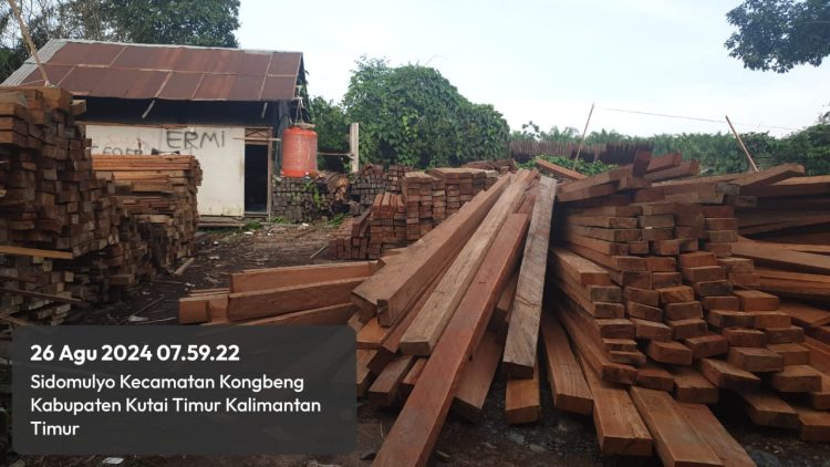 Diduga Puluhan Kubik Kayu Ilegal di Sawmil Rizky Diduga Tidak Memiliki Dokumen yang Sah, atau Ijin Pengelolaan Kayu (IPK). 