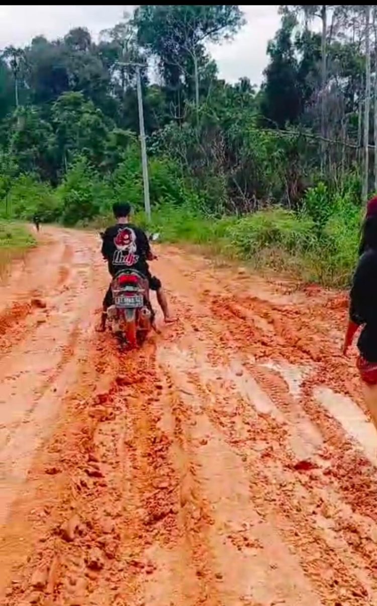 Fandi Soetanto Masyarakat Siduung Indah: Bupati Sampai Kapan Masyarakat Siduung Indah dapat Merasakan Jalan yang Layak…?