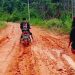Fandi Soetanto Masyarakat Siduung Indah: Bupati Sampai Kapan Masyarakat Siduung Indah dapat Merasakan Jalan yang Layak…?