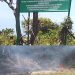 Diduga Gakkum dan DLHK Sulsel Melakukan Pembiaran Pembabatan dan Pembakaran Hutan dalam Kawasan Tahura Bontonbahari