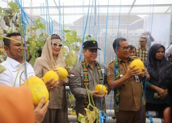 Akmal Malik Panen Melon di SMAN 3 Tenggarong 