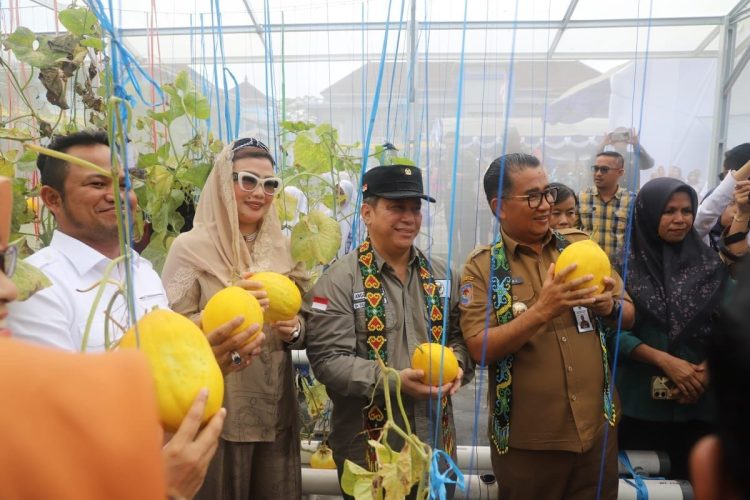 Akmal Malik Panen Melon di SMAN 3 Tenggarong 