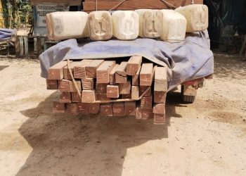 Dua Mobil Pick-Up Bermuatan Kayu Ilegal Jadi Sorotan di Sebulu, Kukar