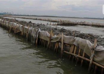 Laut yang Dipatok Tak Perlu Disegel, Presiden Harus Perintahkan TNI-Polri Kuasai Kembali