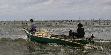 Prof. KH Sutan Nasomal SH, MH: Laut Dipatok Pagar dan SHGB di Laut Harus Dibongkar Total, Negara Harus Tegas