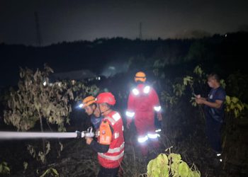 Tim Respons Bencana Batalyon A Brimob Kaltim Gercep, Padamkan Karhutla di Sepinggan Balikpapan