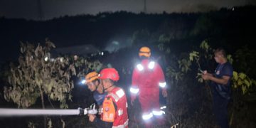 Tim Respons Bencana Batalyon A Brimob Kaltim Gercep, Padamkan Karhutla di Sepinggan Balikpapan