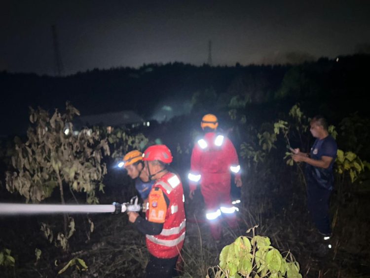 Tim Respons Bencana Batalyon A Brimob Kaltim Gercep, Padamkan Karhutla di Sepinggan Balikpapan
