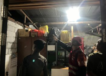 Brimob Polda Kaltim Sigap Evakuasi Pohon Tumbang di Gunung Sari Balikpapan