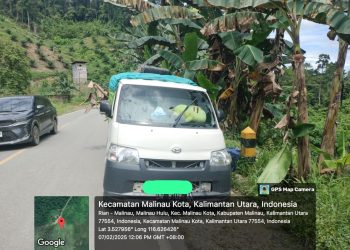 Barang Ilegal dari Malaysia Marak di Kaltara, Oknum APH Diduga Terlibat