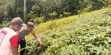 Bhabinkamtibmas Kampung Sido Bangen Polsek Kelay Dukung Ketahanan Pangan Sesuai Program Asta Cita Presiden RI