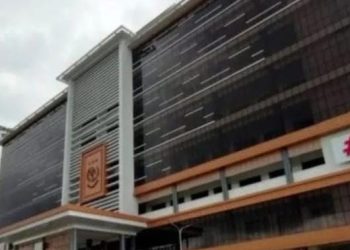 Skandal Pembalakan Liar di Pesisir Berau: Dugaan Penyalahgunaan Dokumen dan Keterlibatan Pejabat Tinggi