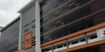 Skandal Pembalakan Liar di Pesisir Berau: Dugaan Penyalahgunaan Dokumen dan Keterlibatan Pejabat Tinggi