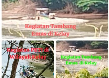 Ketua PDKT Berau, Marjinus Ugin, Angkat Suara STOP PETI ! Ancam Laporkan ke APH terkait Tambang Emas Ilegal di Kelay Kian Marak, Diduga Gunakan Zat Kimia Berbahaya