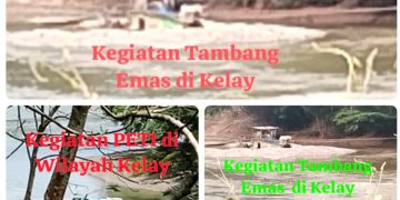 Ketua PDKT Berau, Marjinus Ugin, Angkat Suara STOP PETI ! Ancam Laporkan ke APH terkait Tambang Emas Ilegal di Kelay Kian Marak, Diduga Gunakan Zat Kimia Berbahaya