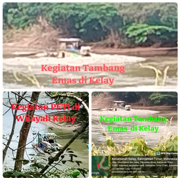 Ketua PDKT Berau, Marjinus Ugin, Angkat Suara STOP PETI ! Ancam Laporkan ke APH terkait Tambang Emas Ilegal di Kelay Kian Marak, Diduga Gunakan Zat Kimia Berbahaya