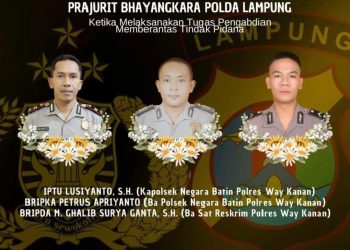 Tiga Polisi Gugur Ditembak, Gerebek Arena Judi Sabung Ayam