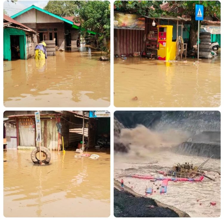Berau Dikepung Banjir, Ancaman Banjir Bandang: Dugaan Kelalaian dan Eksploitasi Alam Jadi Pemicu
