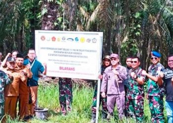 Setelah Perkebunan Sawit, Satgas PKH Siap Tertibkan Tambang Ilegal di Kawasan Hutan