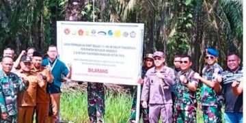 Setelah Perkebunan Sawit, Satgas PKH Siap Tertibkan Tambang Ilegal di Kawasan Hutan