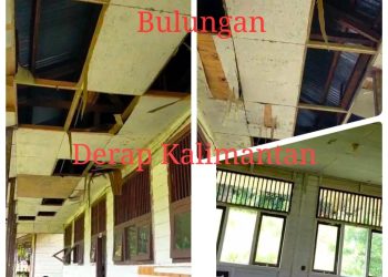 Pendidikan di Pedalaman Kaltara Terabaikan, SDN 009 Peso Long Lasan Butuh Perhatian Serius Pemda