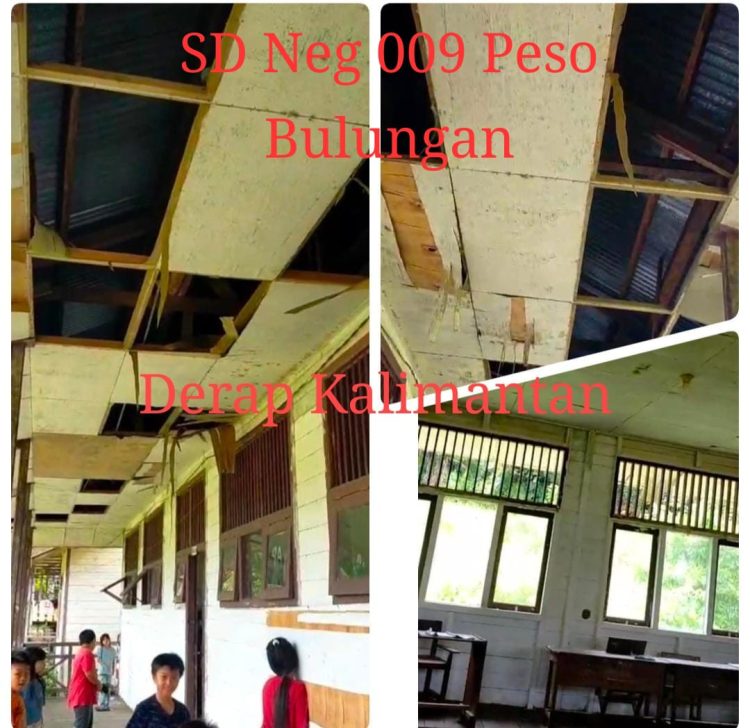 Pendidikan di Pedalaman Kaltara Terabaikan, SDN 009 Peso Long Lasan Butuh Perhatian Serius Pemda