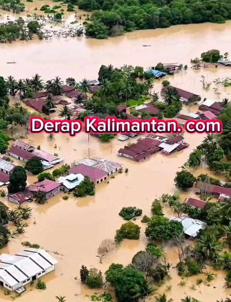 Banjir Rendam Kampung Pegat Bukur, Warga Mengungsi: Pemda dan Perusahaan Tambang Diminta Bertindak