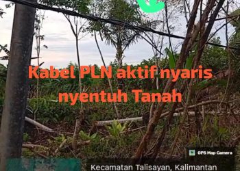 Kabel Listrik Aktif Nyaris Menyentuh Tanah di Talisayan, Warga Minta PLN Segera Bertindak