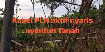 Kabel Listrik Aktif Nyaris Menyentuh Tanah di Talisayan, Warga Minta PLN Segera Bertindak