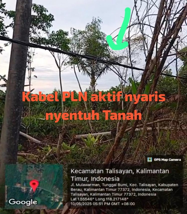 Kabel Listrik Aktif Nyaris Menyentuh Tanah di Talisayan, Warga Minta PLN Segera Bertindak