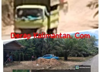 PT. NPN atau TRIPUTRA GROUP  Diduga Abaikan Dampak Lingkungan dan Hak Warga di Segah: Debu, Lampu, dan Penyerobotan Lahan Jadi Sorotan