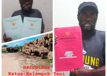 Presiden RI Diminta Turun Tangan, Dugaan Illegal Logging dan Mafia Tanah Rugikan Kelompok Tani Sandewaan Kalimantan Timur