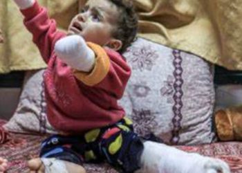 Pakar Hukum Internasional Minta Presiden Prabowo Perkuat Pertahanan RI, Prihatin Anak-Anak Palestina Jadi Korban Genosida