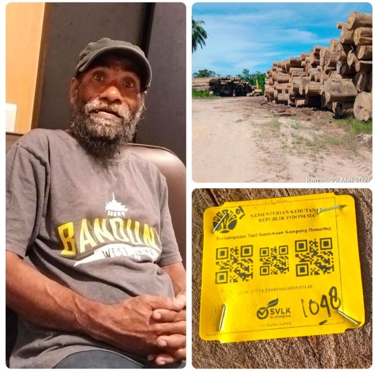 Ketua Kelompok Tani Sandewaan Desak PT. Cassava Hentikan Penebangan Kayu: Langgar Kesepakatan dan Ingkar Bayar Fee