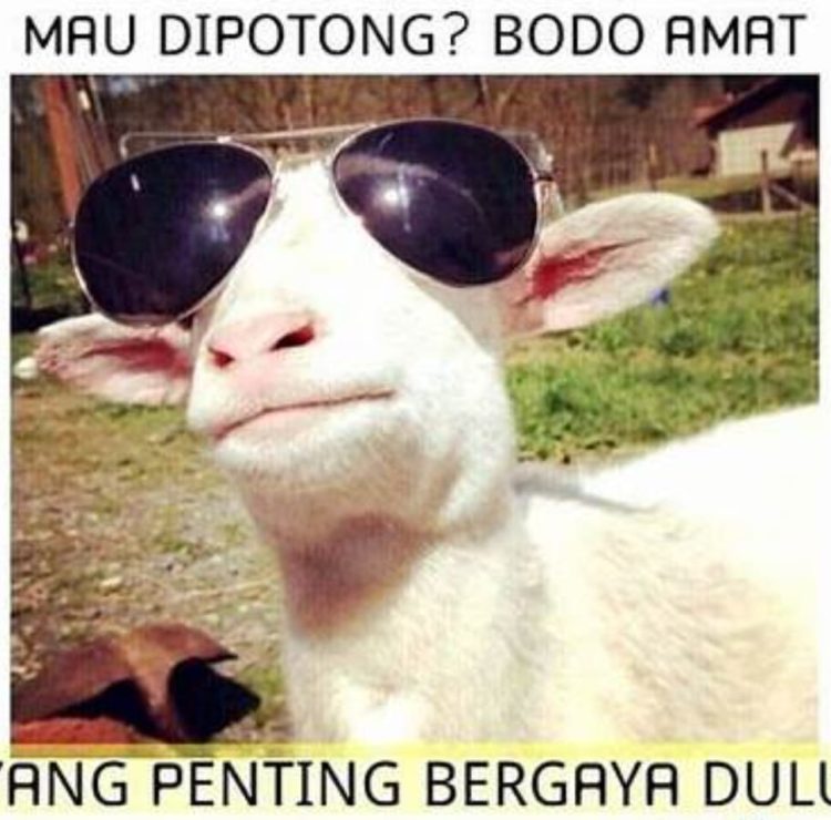 Prof. Sutan Nasomal Minta Presiden Prabowo Intruksikan Menteri Terkait Ciptakan Lapangan Kerja dan Hentikan Impor Pangan