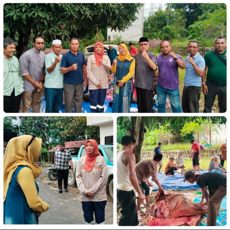 PT Berau Coal dan PT BAR Sumbang Sapi Kurban untuk FPK Berau di Momen Idul Adha 1446 H