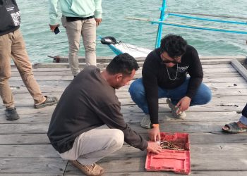 Kapal Bantuan Pendidikan Diduga Disalahgunakan, Alat Hisap Sabu Ditemukan di Lokasi