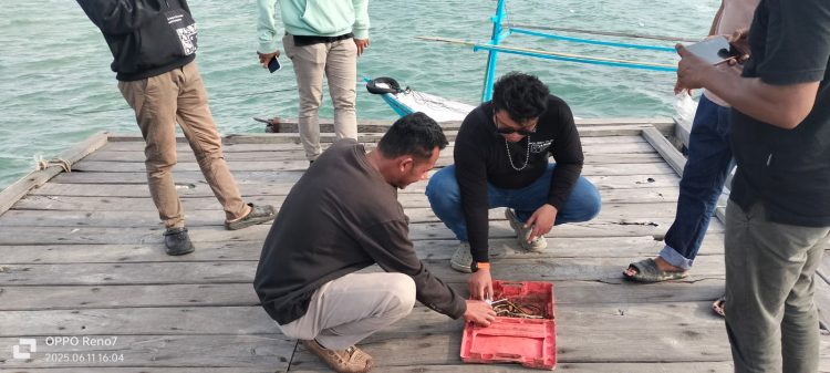 Kapal Bantuan Pendidikan Diduga Disalahgunakan, Alat Hisap Sabu Ditemukan di Lokasi