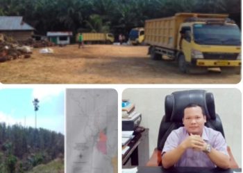 Satgas Inti Prabowo Kecam Perusahaan Perusak Hutan, Desak Negara Bertindak Tegas