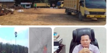 Satgas Inti Prabowo Kecam Perusahaan Perusak Hutan, Desak Negara Bertindak Tegas