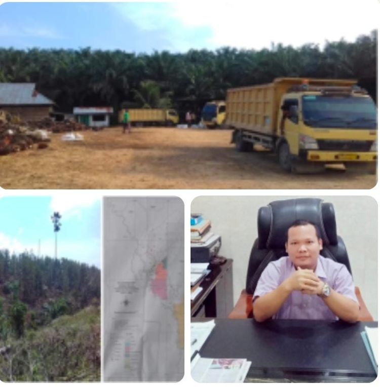 Satgas Inti Prabowo Kecam Perusahaan Perusak Hutan, Desak Negara Bertindak Tegas