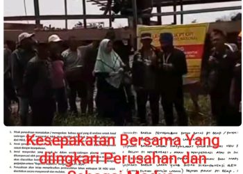 Lapor Pak Presiden : Warga Tanjung Palas Timur Tuntut Keadilan: Dugaan Penggusuran Paksa oleh PT KIPI dan PT BCAP Tanpa Ganti Rugi