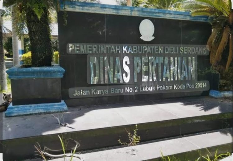 PLT Kabid Sarana dan Prasarana Diduga Sabotase Ketahanan Pangan Nasional di Batang Kuis