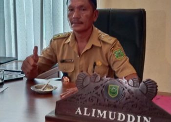Tiga Tahun Kepemimpinan Alimuddin, Pembangunan Kampung Sambakungan Alami Kemajuan Signifikan dan Terus Berbenah